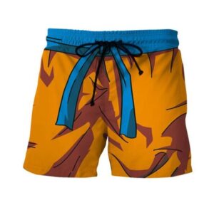 dragon ball z bra and shorts