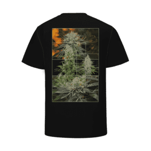 Black Top Shelf Kush Cannabis Marijuana Jar T-Shirt