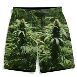 Ganja Marijuana Mary Jane Plant Nugs Dope Men's Boardshorts