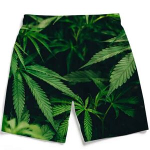 Marijuana Hemp Plant 420 Green Fantastic Men's Boardshorts