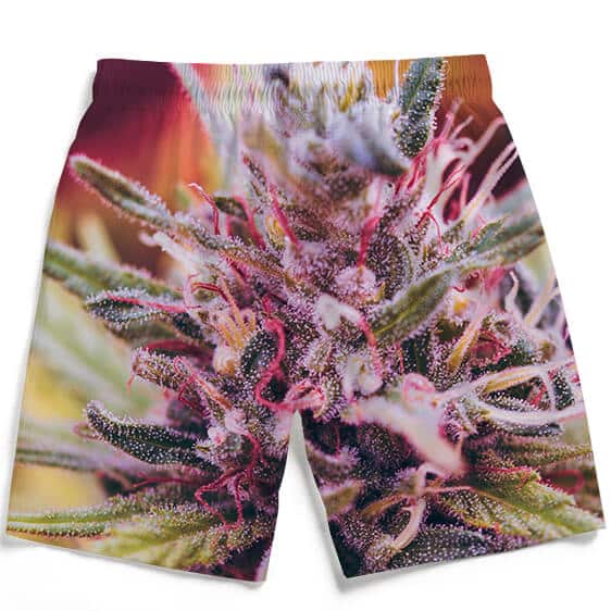 Top Shelf Marijuana Weed Plant 420 Dope Men's Beach Shorts