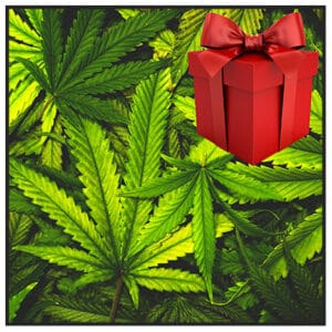 Best 420 & Weed Gift Ideas List for Stoners