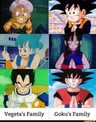 Vegeta & Goku's Family In A Nutshell Dragon Ball Z Meme