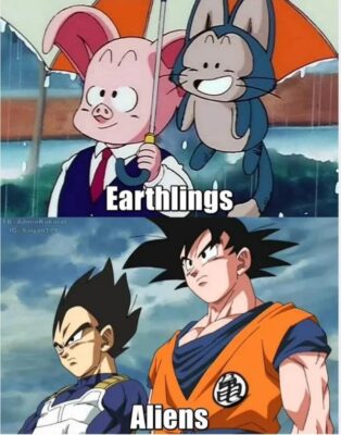Earthlings vs Saiyans Dragon Ball Z Meme